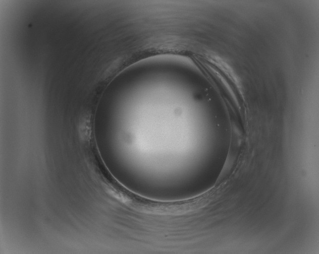 X0000075350017200609081201