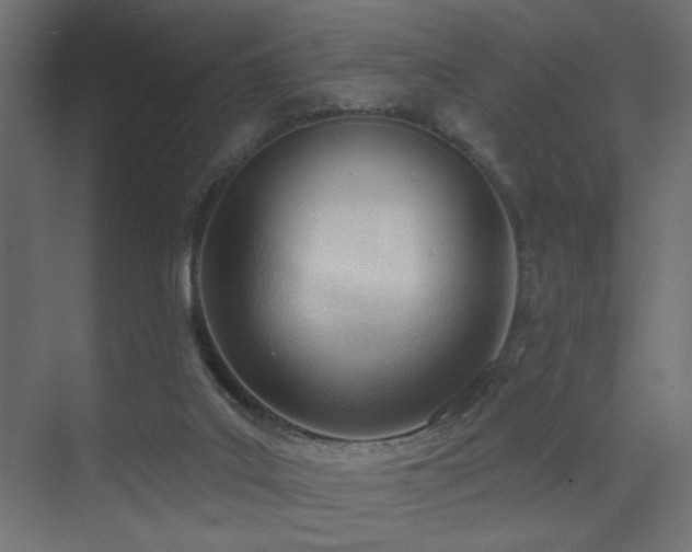 X0000075350019200609081201