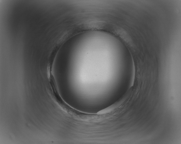 X0000075350021200609081201