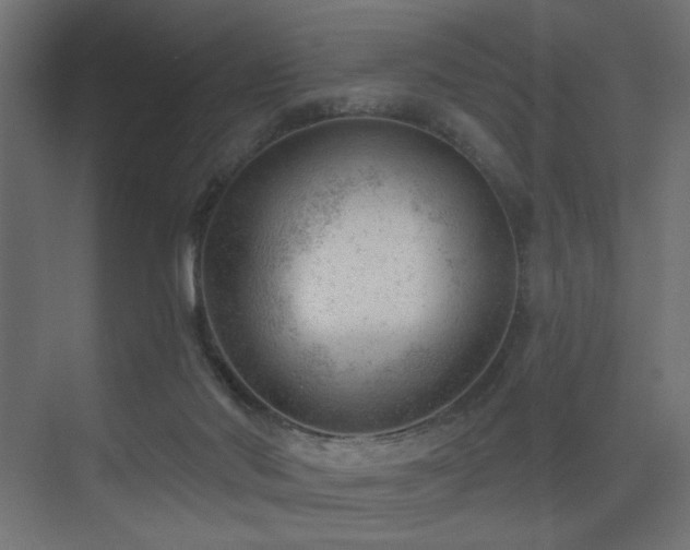 X0000075350022200609081201