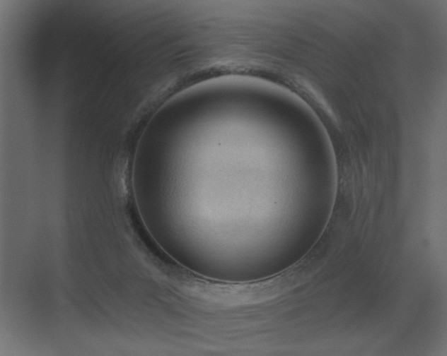 X0000075350023200609081201
