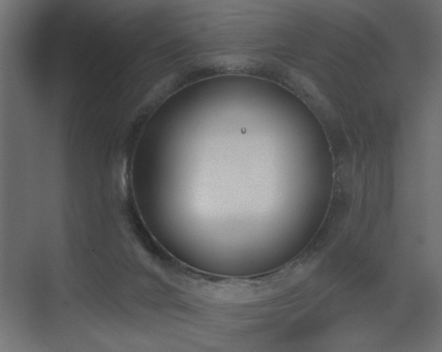 X0000075350024200609081201