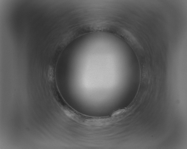 X0000075350025200609081201