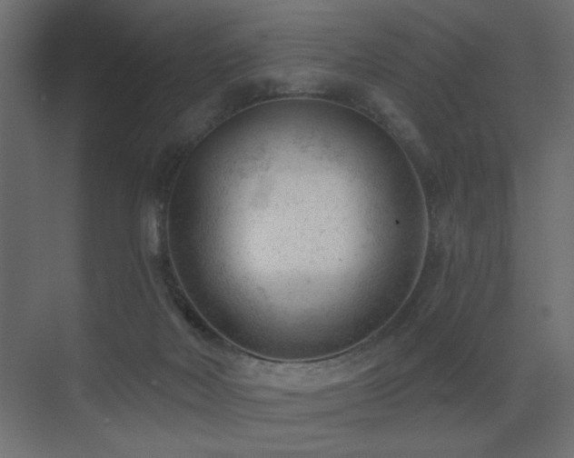 X0000075350026200609081201