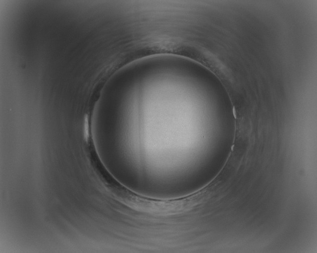 X0000075350027200609081201