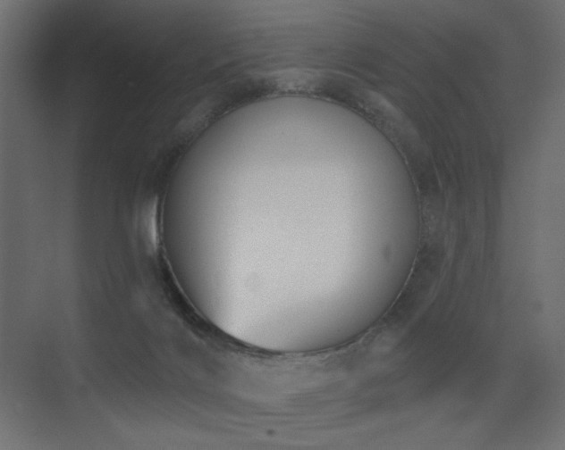X0000075350028200609081201