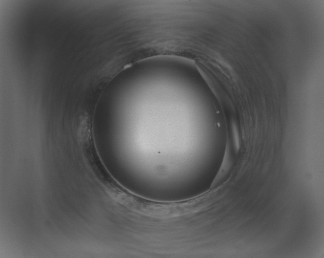 X0000075350029200609081201