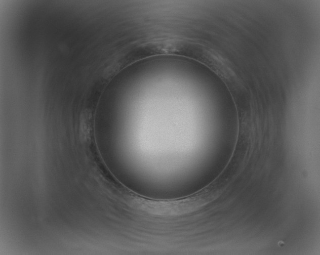 X0000075350030200609081201