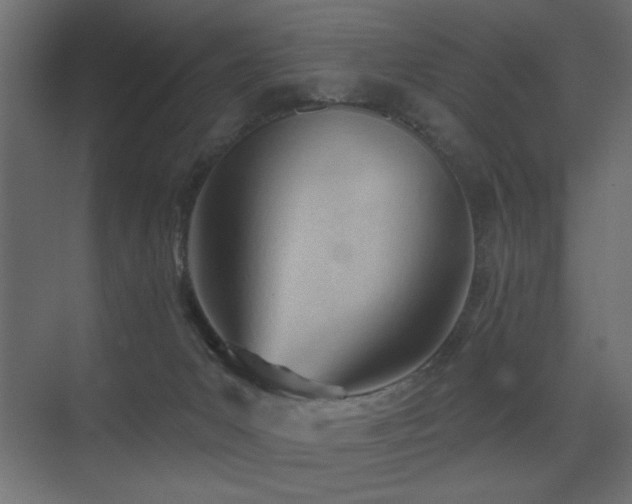 X0000075350031200609081201