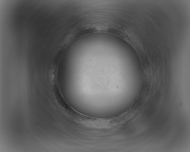 X0000075350032200609081201