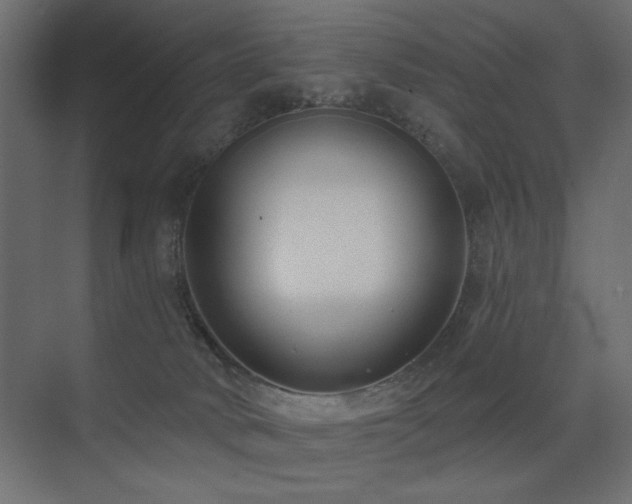 X0000075350034200609081201