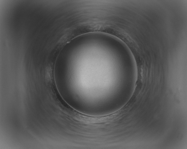 X0000075350035200609081201