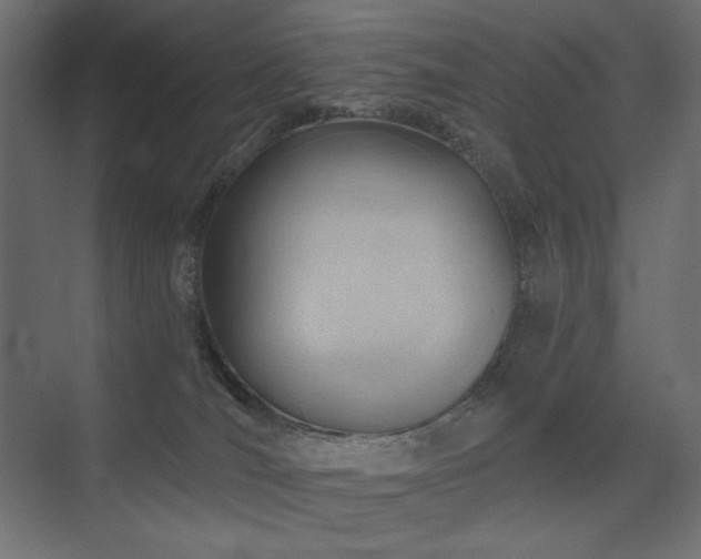 X0000075350036200609081201