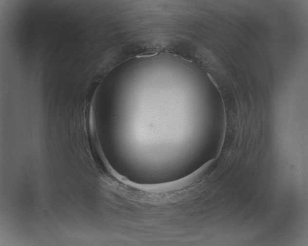 X0000075350037200609081201