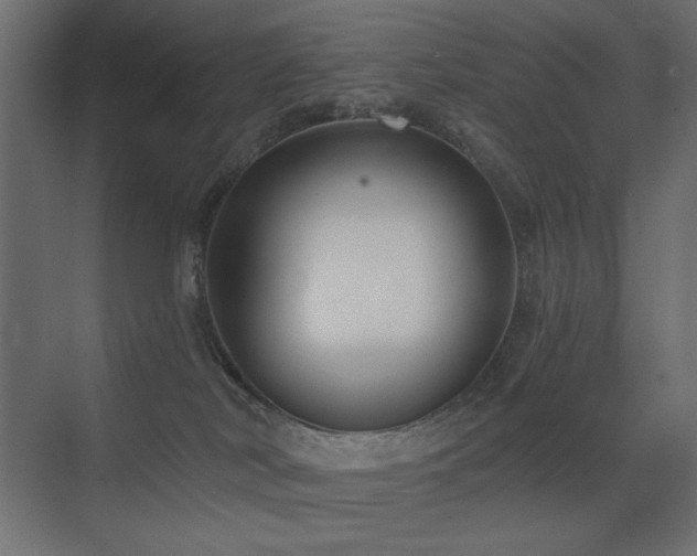 X0000075350038200609081201