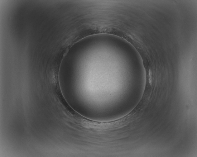 X0000075350039200609081201