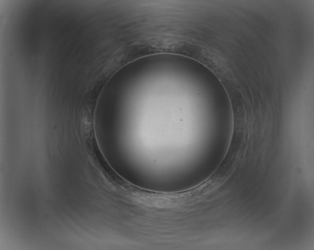 X0000075350040200609081201