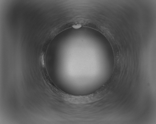 X0000075350042200609081201