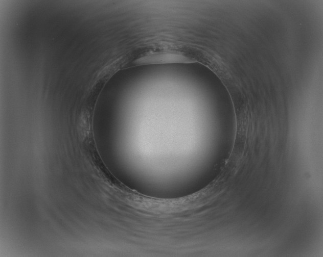 X0000075350043200609081201