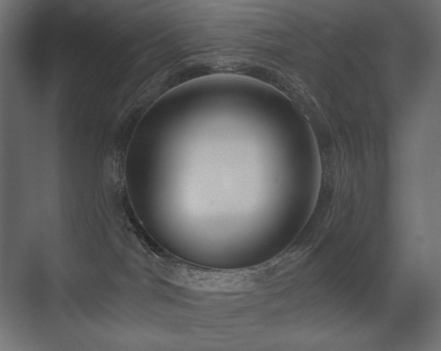 X0000075350044200609081201