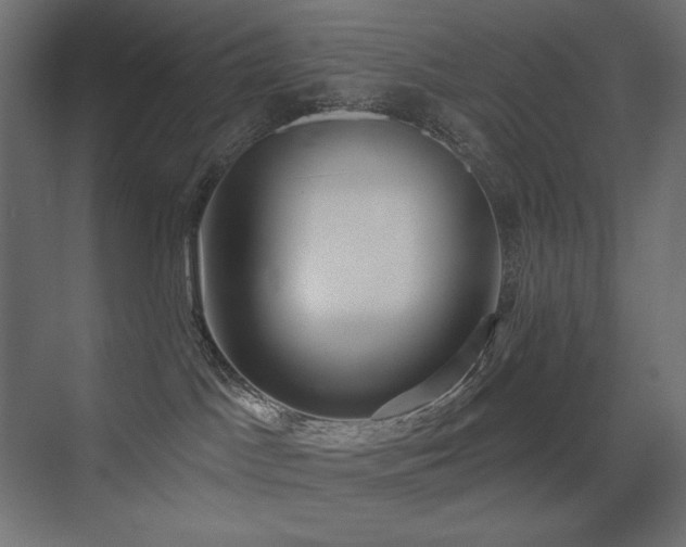 X0000075350045200609081201