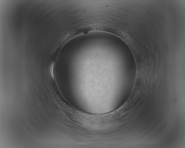 X0000075350047200609081201