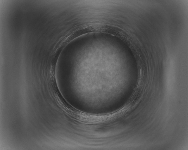 X0000075350048200609081201