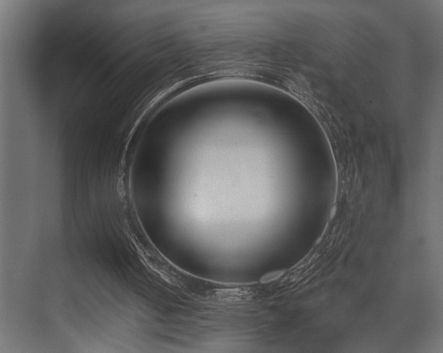 X0000075350050200609081200