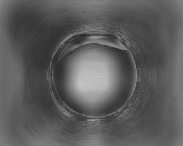 X0000075350052200609081200