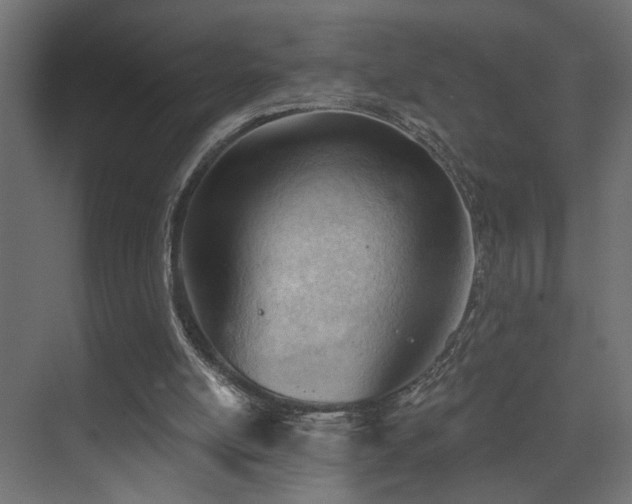 X0000075350054200609081200