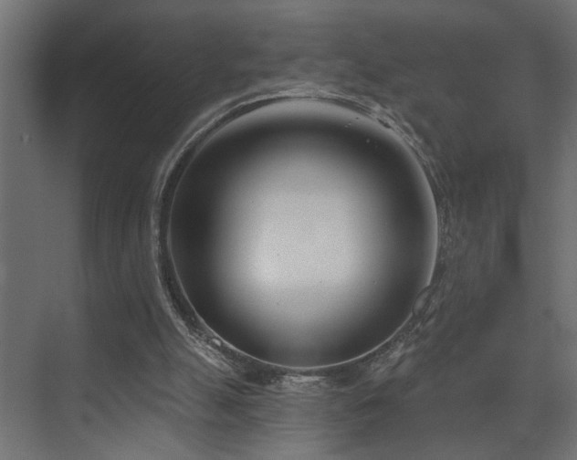 X0000075350055200609081200
