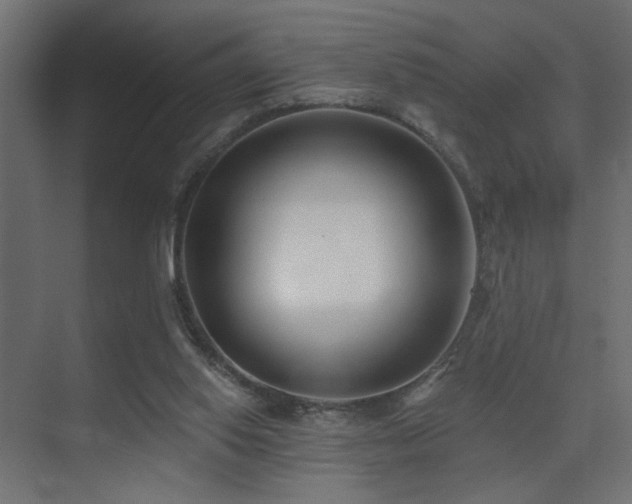 X0000075350062200609081200