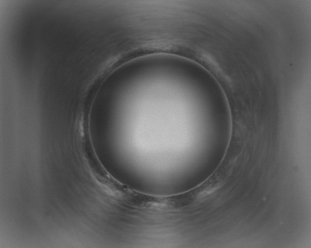 X0000075350068200609081200