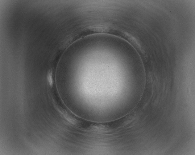 X0000075350069200609081200