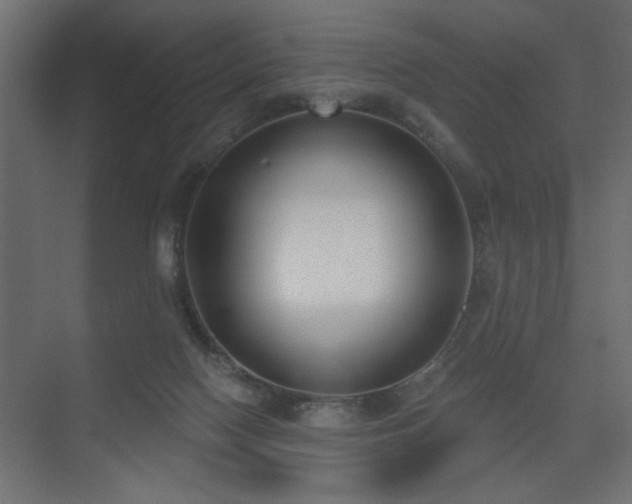 X0000075350074200609081200