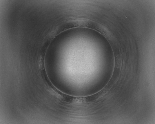 X0000075350077200609081200