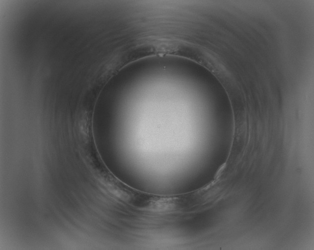 X0000075350078200609081200