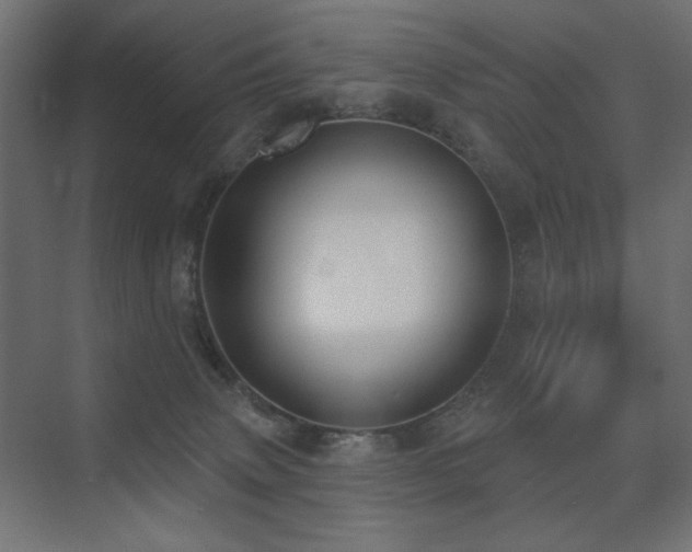 X0000075350083200609081200