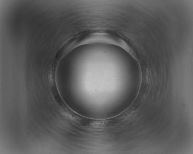 X0000075350084200609081200