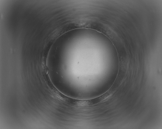 X0000075350085200609081200