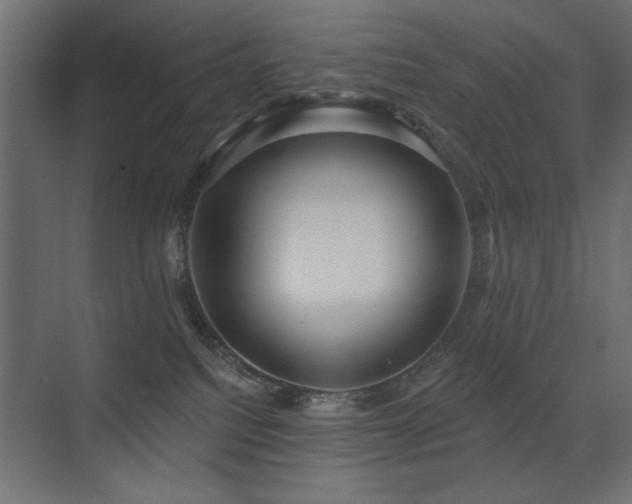 X0000075350088200609081200