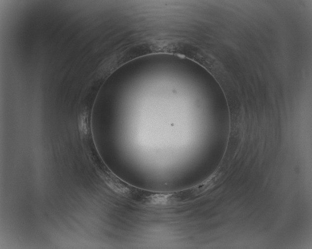 X0000075350090200609081200