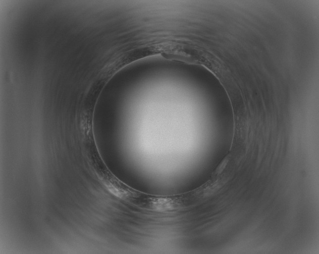 X0000075350091200609081200