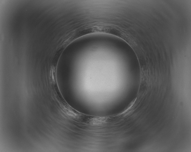 X0000075350094200609081201