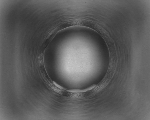 X0000075350096200609081201
