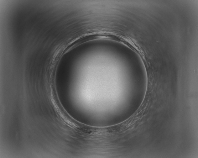 X0000075350097200609081200