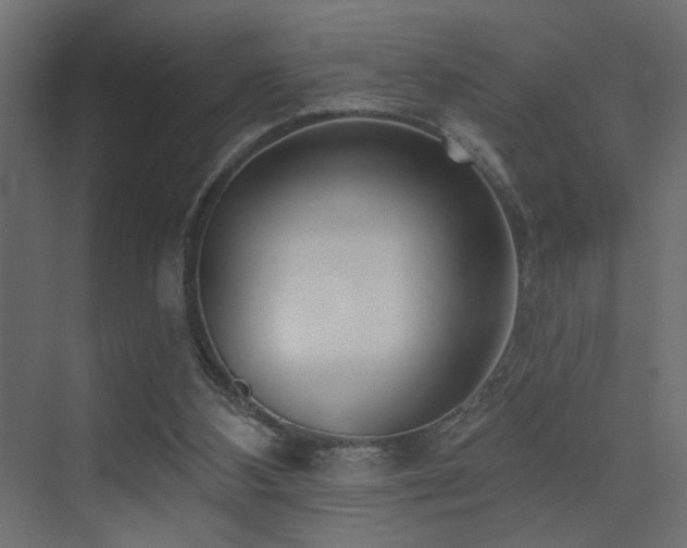 X0000075350108200609081200