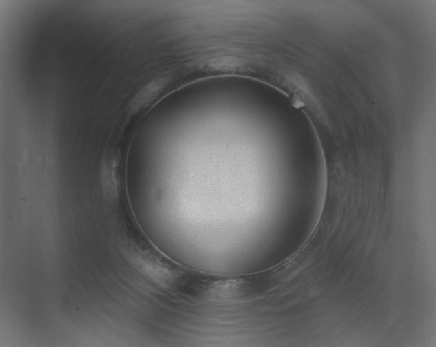X0000075350116200609081159