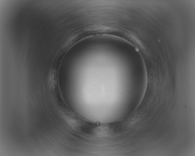 X0000075350119200609081159