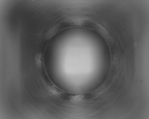 X0000075350122200609081159